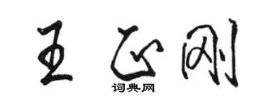 駱恆光王正剛行書個性簽名怎么寫