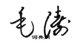 駱恆光毛濤草書個性簽名怎么寫