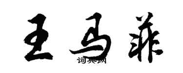 胡問遂王馬菲行書個性簽名怎么寫