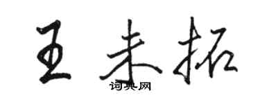 駱恆光王未拓行書個性簽名怎么寫