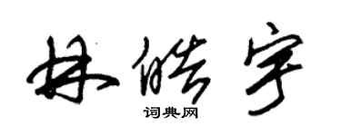 朱錫榮林皓宇草書個性簽名怎么寫