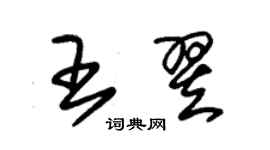 朱錫榮王翌草書個性簽名怎么寫