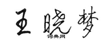 駱恆光王曉夢行書個性簽名怎么寫