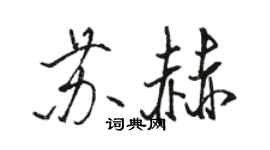 駱恆光蘇赫行書個性簽名怎么寫