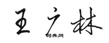 駱恆光王廣林行書個性簽名怎么寫
