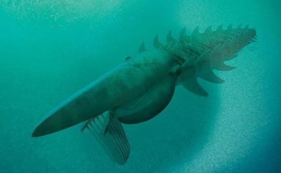摩洛哥現4.8億年前龍蝦化石 長約2米屬殺手蝦