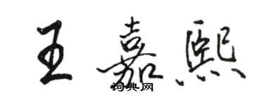 駱恆光王嘉熙行書個性簽名怎么寫