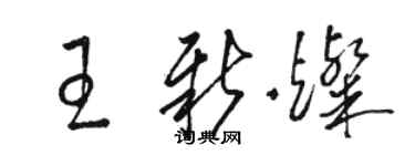 駱恆光王新燦草書個性簽名怎么寫