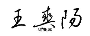 梁錦英王爽陽草書個性簽名怎么寫