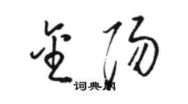 駱恆光金陽草書個性簽名怎么寫