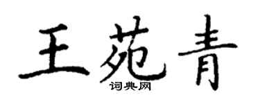 丁謙王苑青楷書個性簽名怎么寫