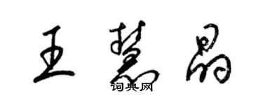 梁錦英王慧晶草書個性簽名怎么寫