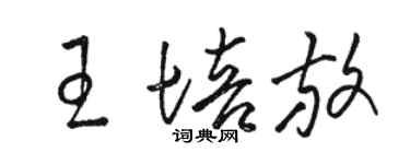 駱恆光王培放草書個性簽名怎么寫