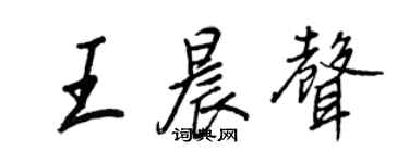 王正良王晨聲行書個性簽名怎么寫