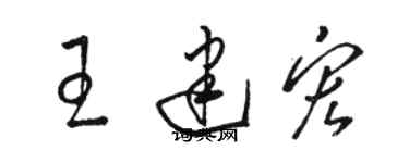 駱恆光王建宏草書個性簽名怎么寫