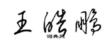 梁錦英王皓鵬草書個性簽名怎么寫