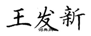 丁謙王發新楷書個性簽名怎么寫