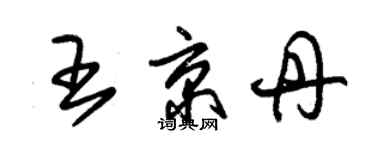 朱錫榮王京丹草書個性簽名怎么寫