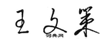 駱恆光王文策草書個性簽名怎么寫