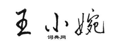 駱恆光王小婉行書個性簽名怎么寫