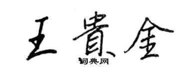 王正良王貴金行書個性簽名怎么寫