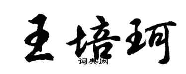 胡問遂王培珂行書個性簽名怎么寫