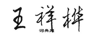 駱恆光王祥樺行書個性簽名怎么寫