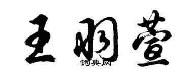 胡問遂王羽萱行書個性簽名怎么寫