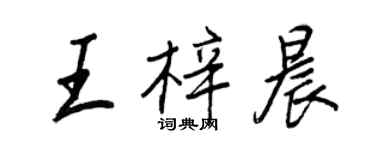 王正良王梓晨行書個性簽名怎么寫