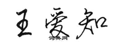 駱恆光王愛知行書個性簽名怎么寫