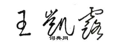 駱恆光王凱露草書個性簽名怎么寫