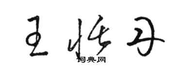 駱恆光王恬丹草書個性簽名怎么寫