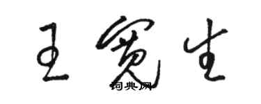 駱恆光王寬生草書個性簽名怎么寫