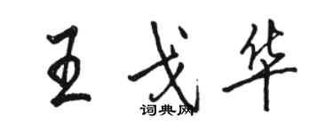 駱恆光王戈華行書個性簽名怎么寫