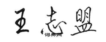 駱恆光王志盟行書個性簽名怎么寫