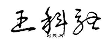 曾慶福王科馳草書個性簽名怎么寫