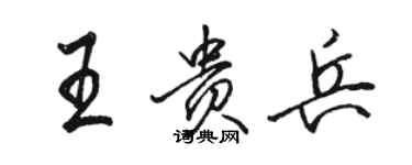 駱恆光王貴兵行書個性簽名怎么寫