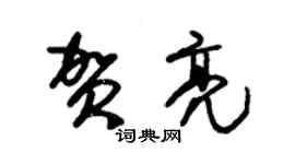 朱錫榮賀亮草書個性簽名怎么寫