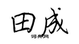 王正良田成行書個性簽名怎么寫
