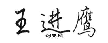 駱恆光王進鷹行書個性簽名怎么寫