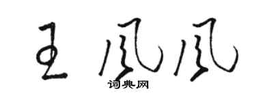駱恆光王風風草書個性簽名怎么寫