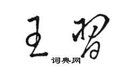 駱恆光王習草書個性簽名怎么寫