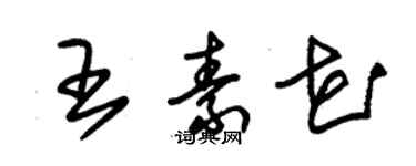 朱錫榮王素花草書個性簽名怎么寫