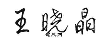 駱恆光王曉晶行書個性簽名怎么寫