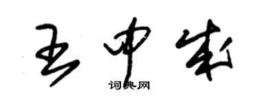 朱錫榮王中成草書個性簽名怎么寫