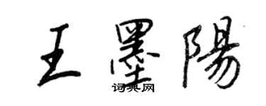 王正良王墨陽行書個性簽名怎么寫