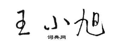 駱恆光王小旭草書個性簽名怎么寫