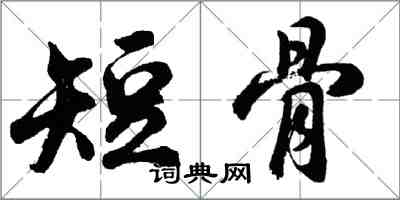 胡問遂短骨行書怎么寫