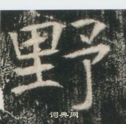 高湛墓誌寫的野