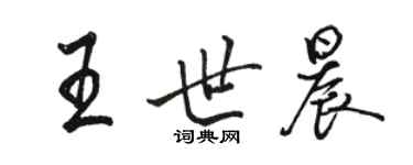 駱恆光王世晨行書個性簽名怎么寫